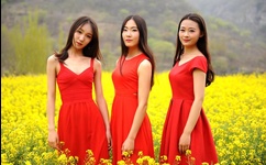 新禁室培欲之爱的俘虏